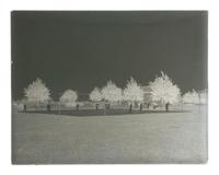 [EDUCATION]. 10 large format glass negatives featuring students at Wilberforce University.