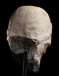 A Marble Head of a Woman