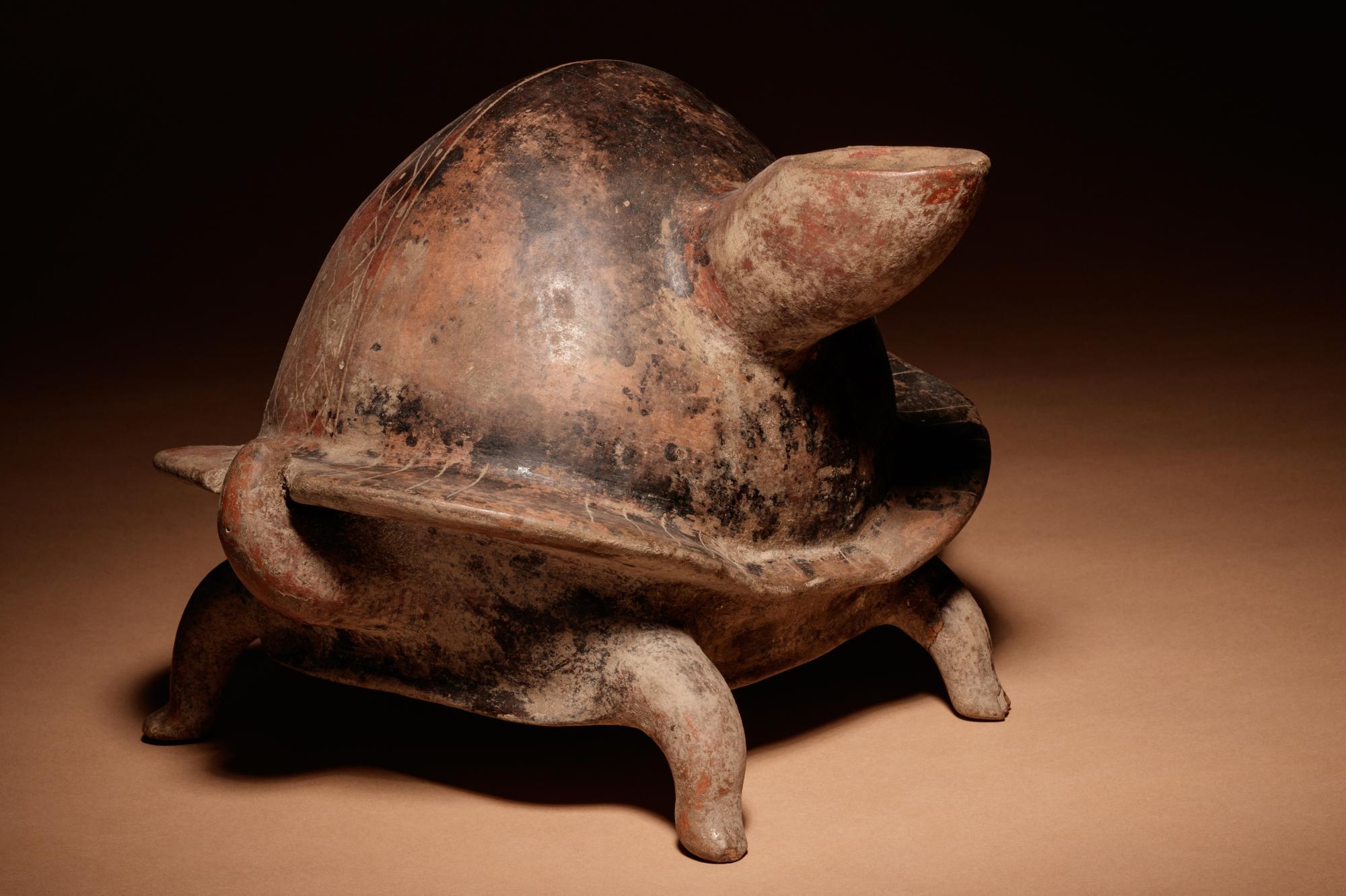 A Colima Terracotta Turtle Vessel