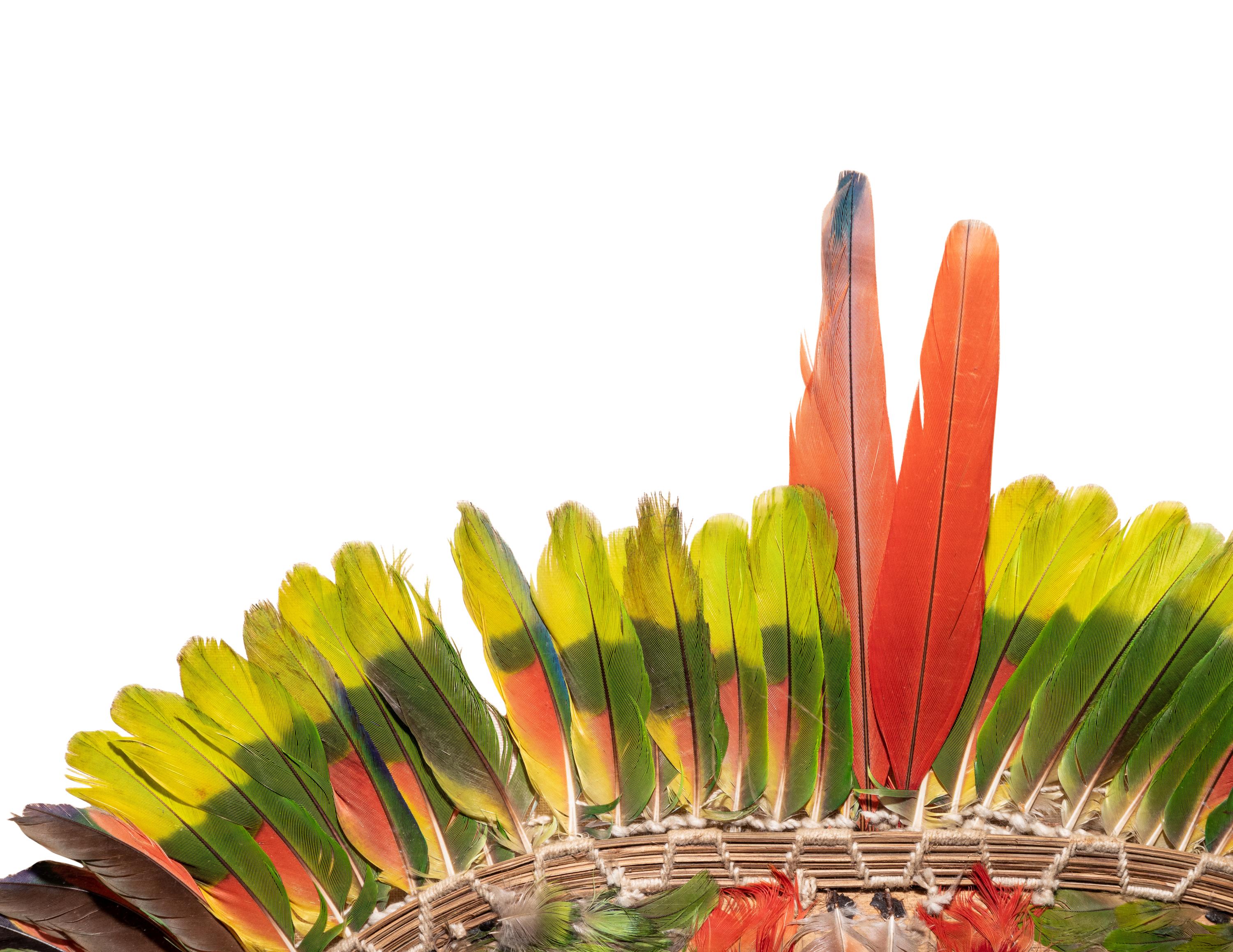 A Juruna Feather Headdress