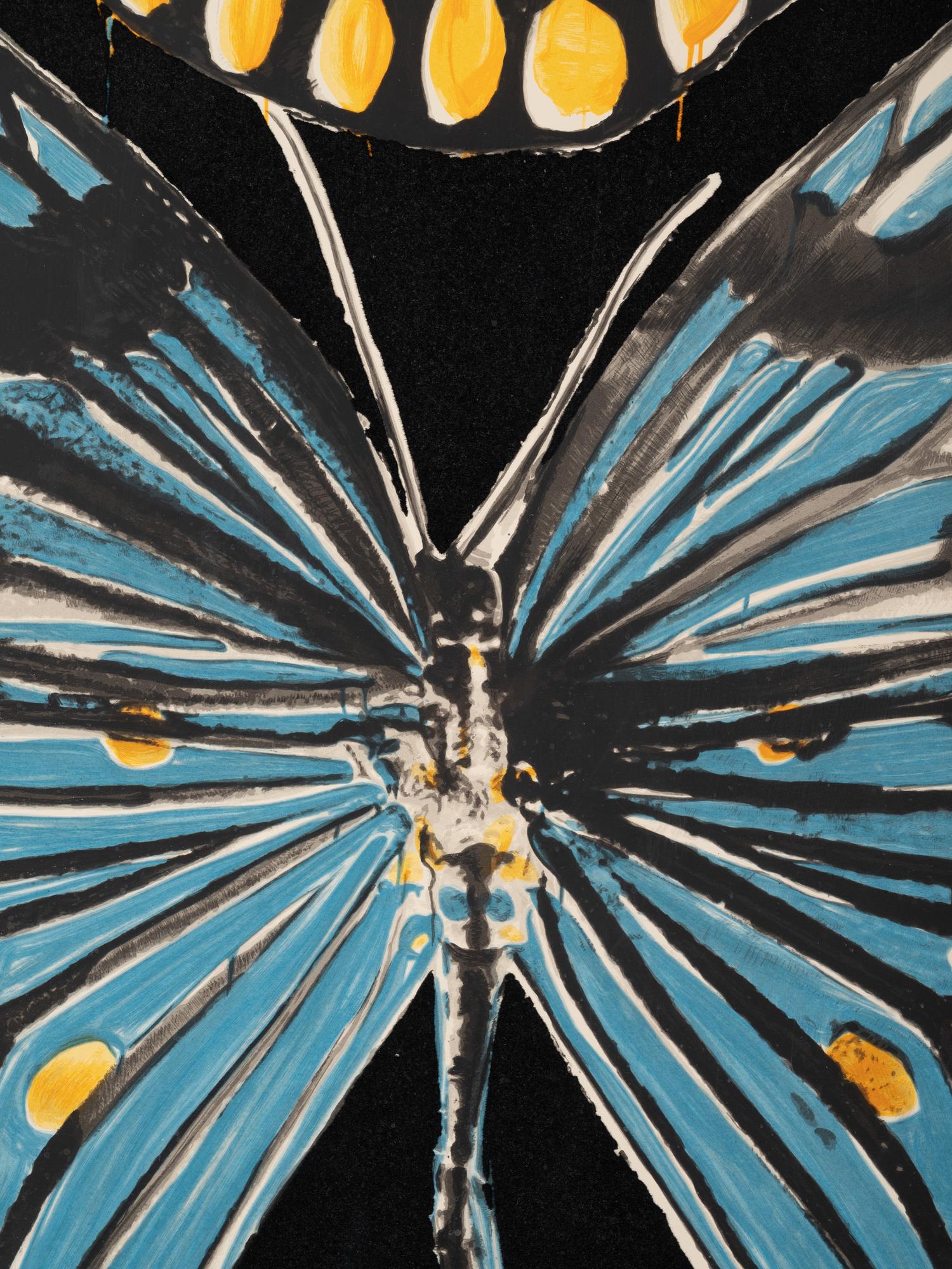 Butterflies