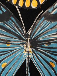 Butterflies
