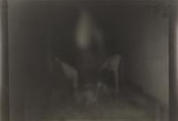 Untitled (2.5.89-7.5.89) (a group of six works), 1989