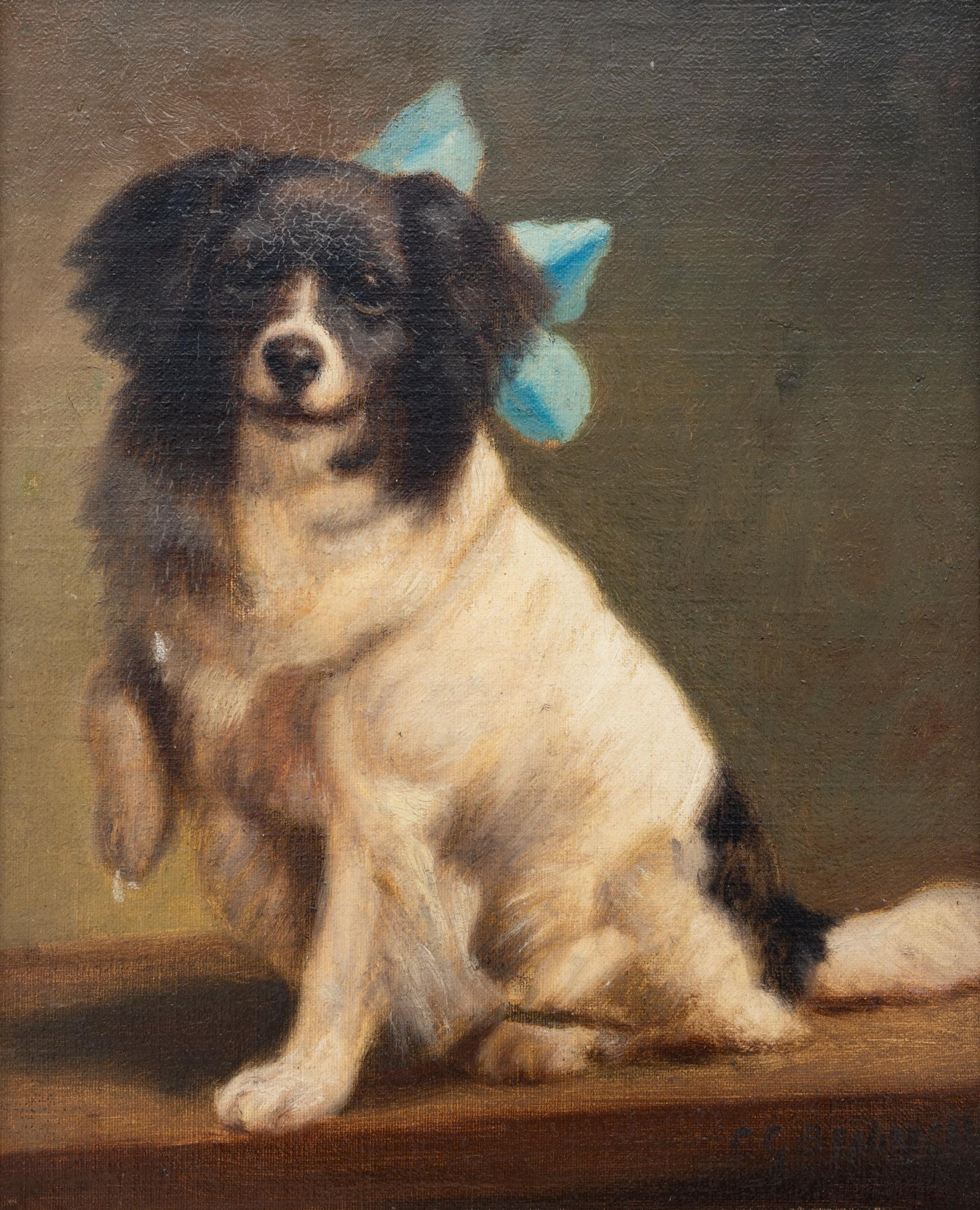 Portrait of a Spaniel