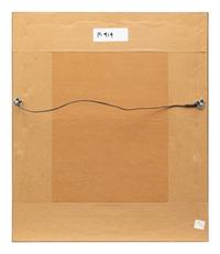 Group of Nine Works, American Bird Series, 1988