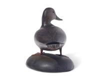 Anthony Elmer Crowell (1862-1951), A Painted and Carved Standing 2/3 Size Black Duck