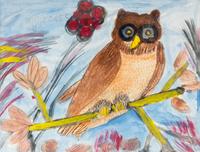 Untitled (Owl)