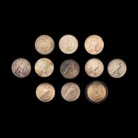 A Collection of Eleven Morgan and Peace $1 Coins
