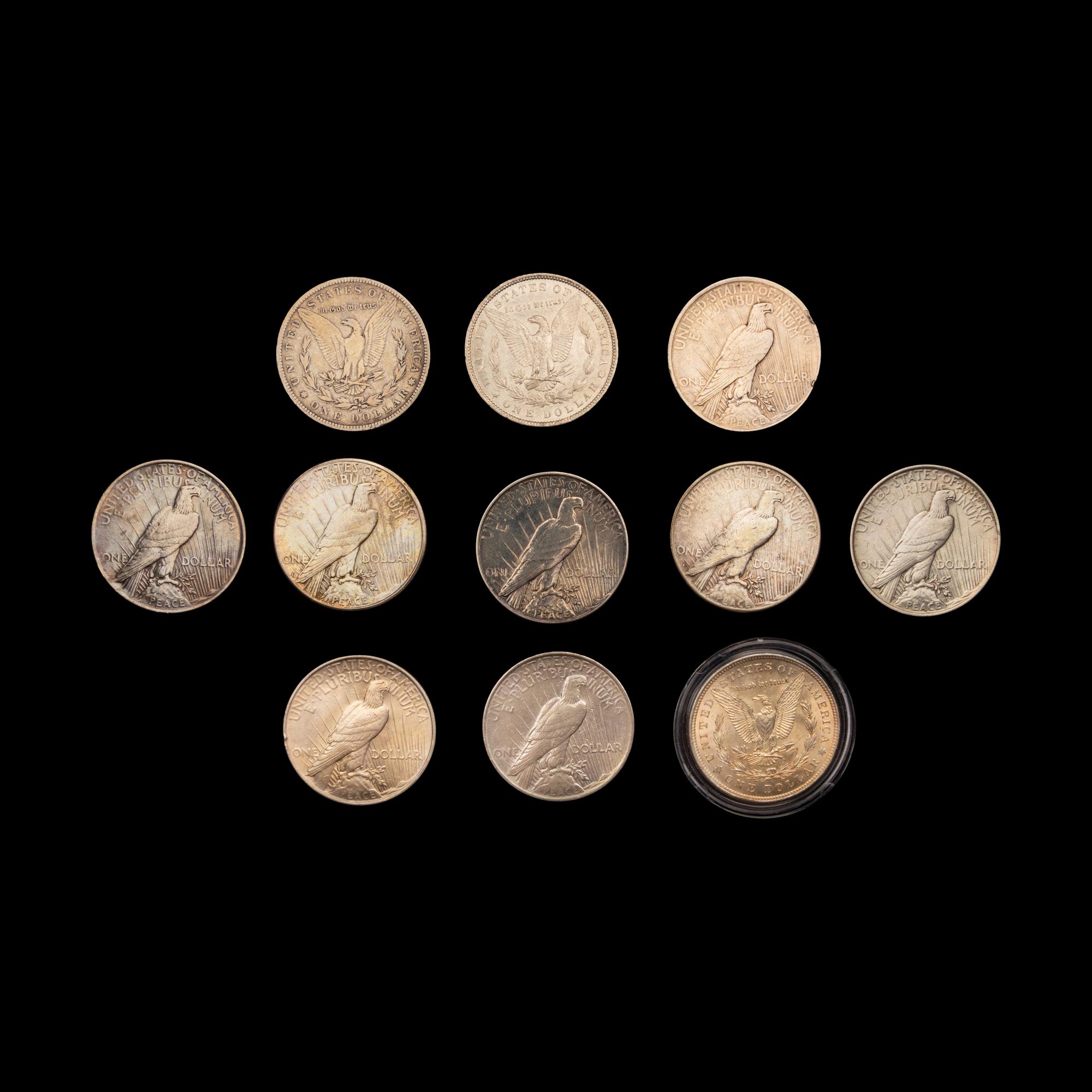 A Collection of Eleven Morgan and Peace $1 Coins