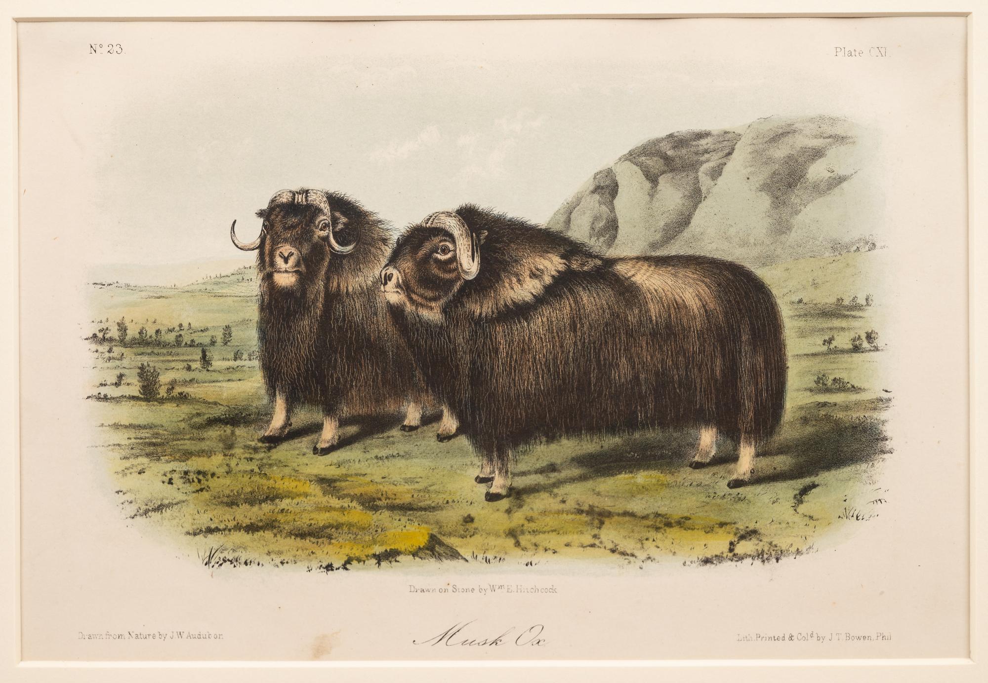 AUDUBON, John James (1785-1852) et al, after A group of 10 octavo-format prints, comprising: