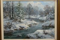 Forest Stream in Winter