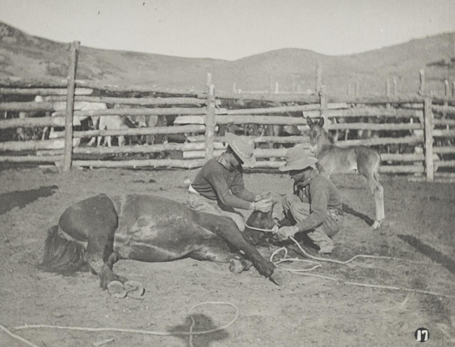 [Western Americana] Huffman, L.A. (1854-1931). A group of 4 collotypes and photographs with western subject matter.