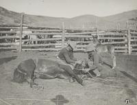 [Western Americana] Huffman, L.A. (1854-1931). A group of 4 collotypes and photographs with western subject matter.