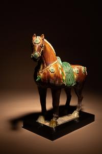 A Sancai Glazed Pottery Figure of a Standing Horse