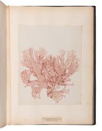 [SPECIMEN ALBUM]. M'CALLA, William. Algae Hibernicae . Dublin: Samuel B. Oldham, 1845, 1848.
