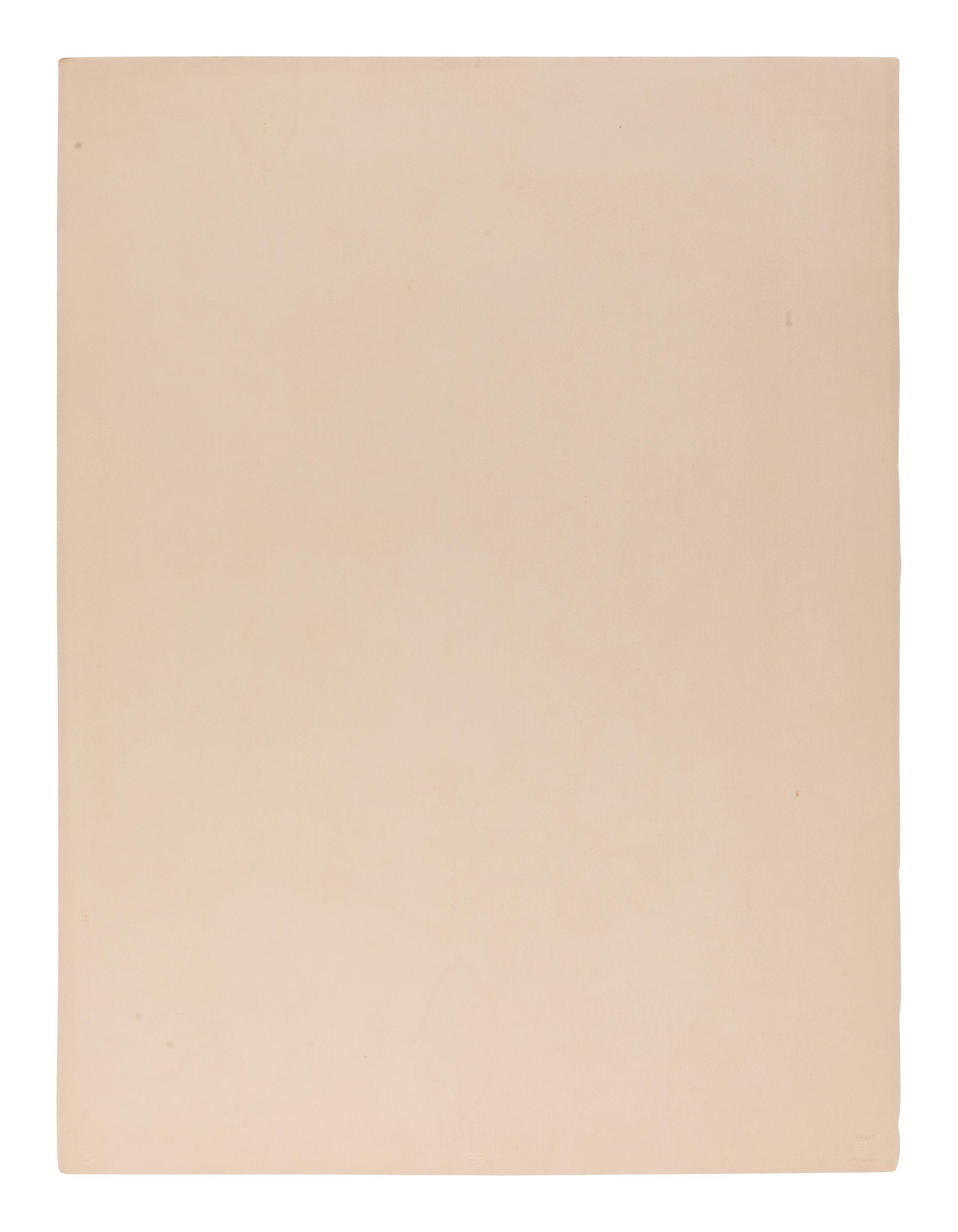 Artist at Forty as A Buffalo , edition 30/100