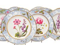 A Spode Pale Blue-Ground Botanical Porcelain Dessert Service