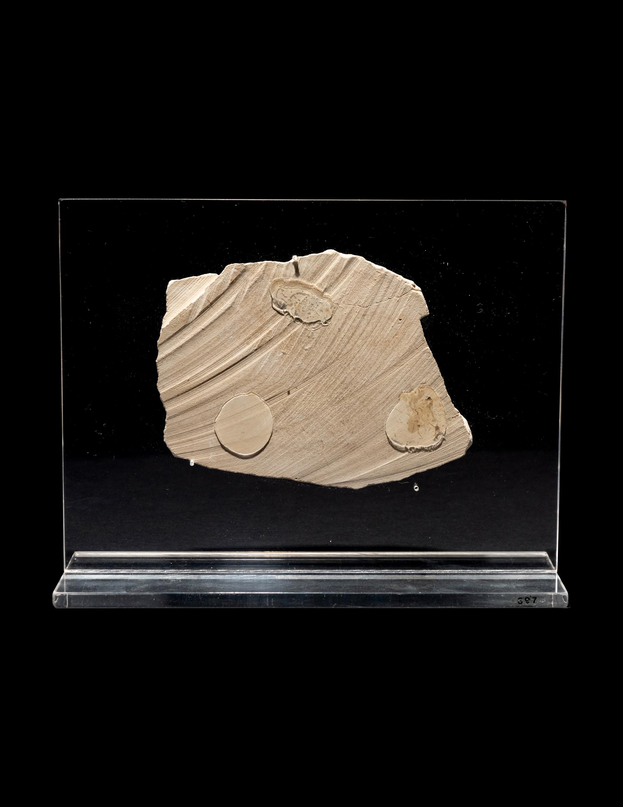 An Egyptian Limestone Relief