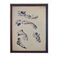 An Anatomy Drawing 19.5" W x .75" D x 25.5" H — Germany, 20th Century