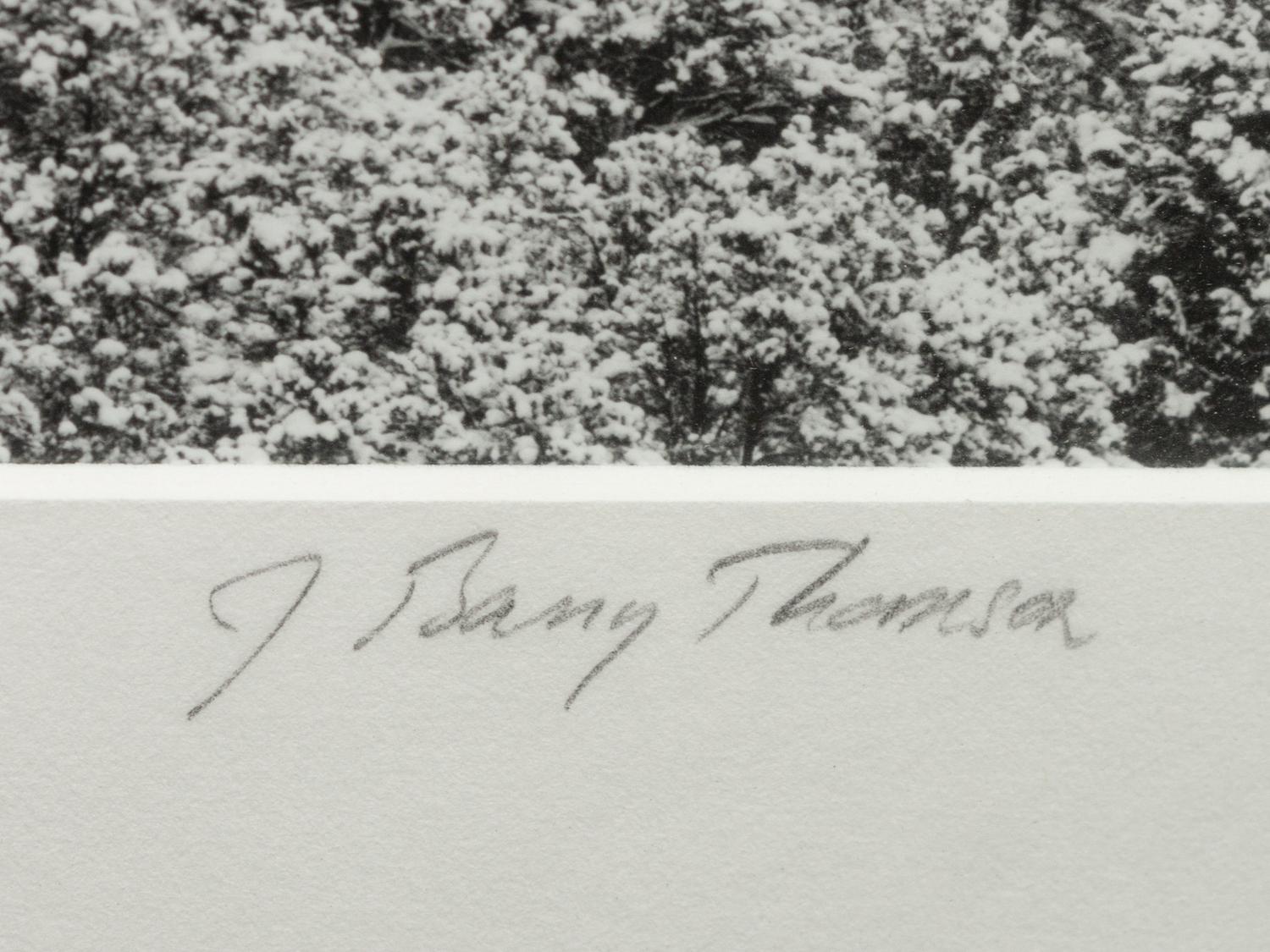 A group of four photographs ( Moqui Marbles, Arizona; Sumacs in Snow, North Conway, New Hampshire; Desert Trumpet in Snow, Utah; Untitled - Snow Covered Trees on Hillside )