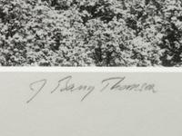 A group of four photographs ( Moqui Marbles, Arizona; Sumacs in Snow, North Conway, New Hampshire; Desert Trumpet in Snow, Utah; Untitled - Snow Covered Trees on Hillside )