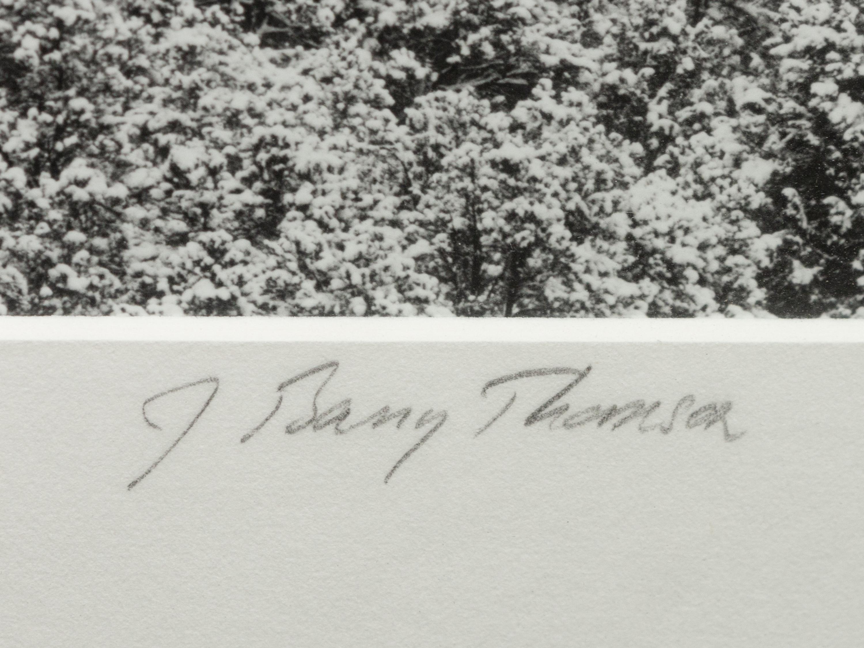 A group of four photographs ( Moqui Marbles, Arizona; Sumacs in Snow, North Conway, New Hampshire; Desert Trumpet in Snow, Utah; Untitled - Snow Covered Trees on Hillside )