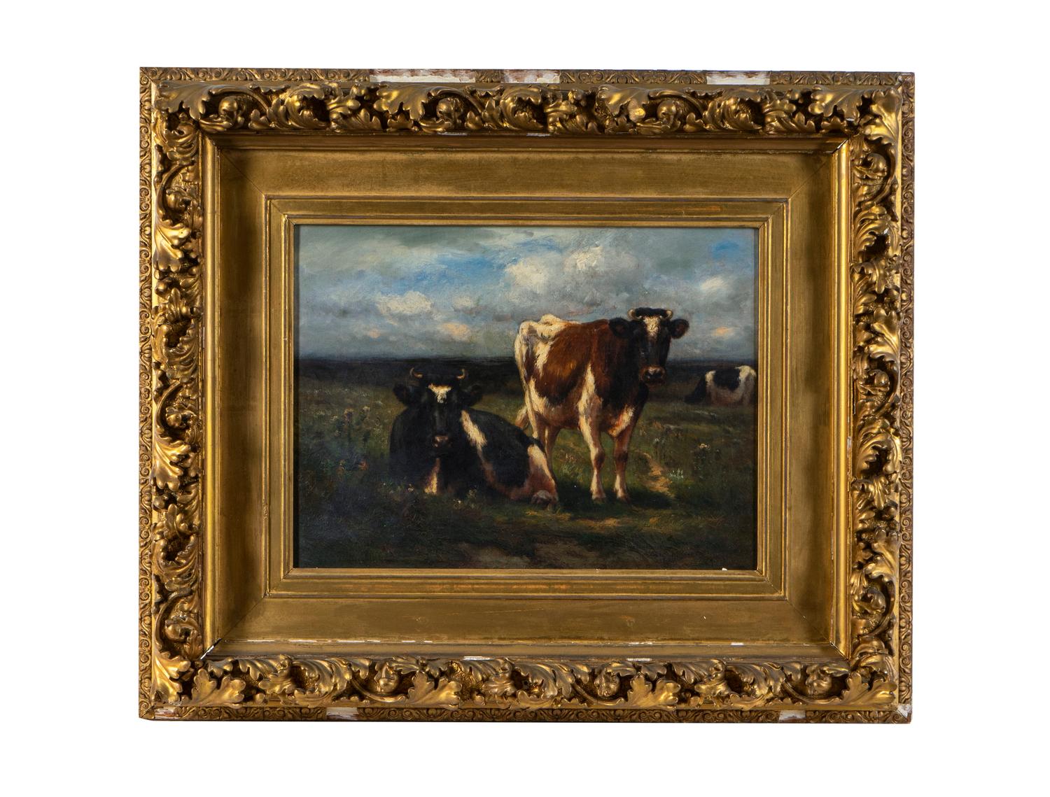 Cows in Pasture