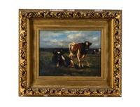 Cows in Pasture