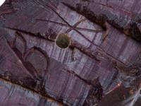 Five Chinese Soapstone Articles