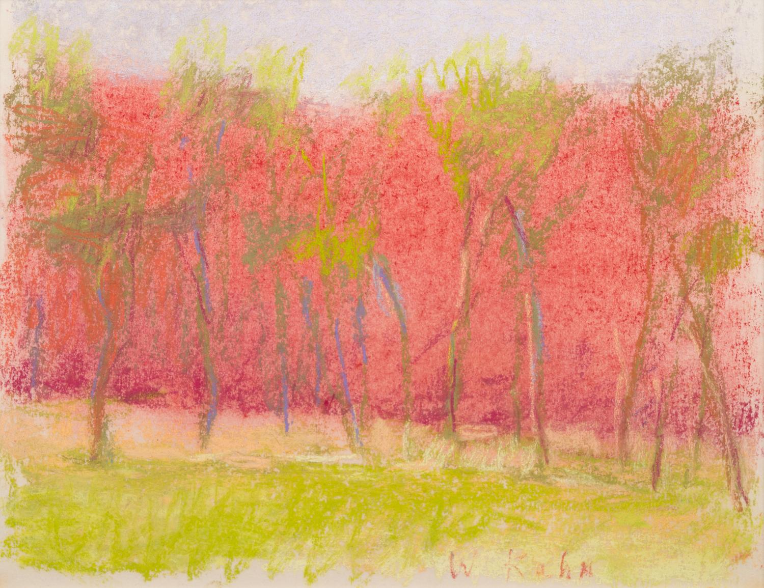 Young Locust Trees