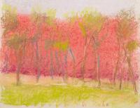 Young Locust Trees