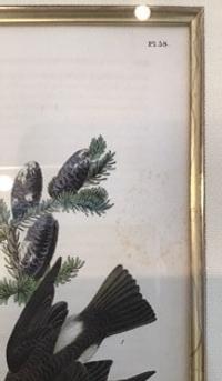 The Birds of America, Royal Octavo Edition, Bowen Edition