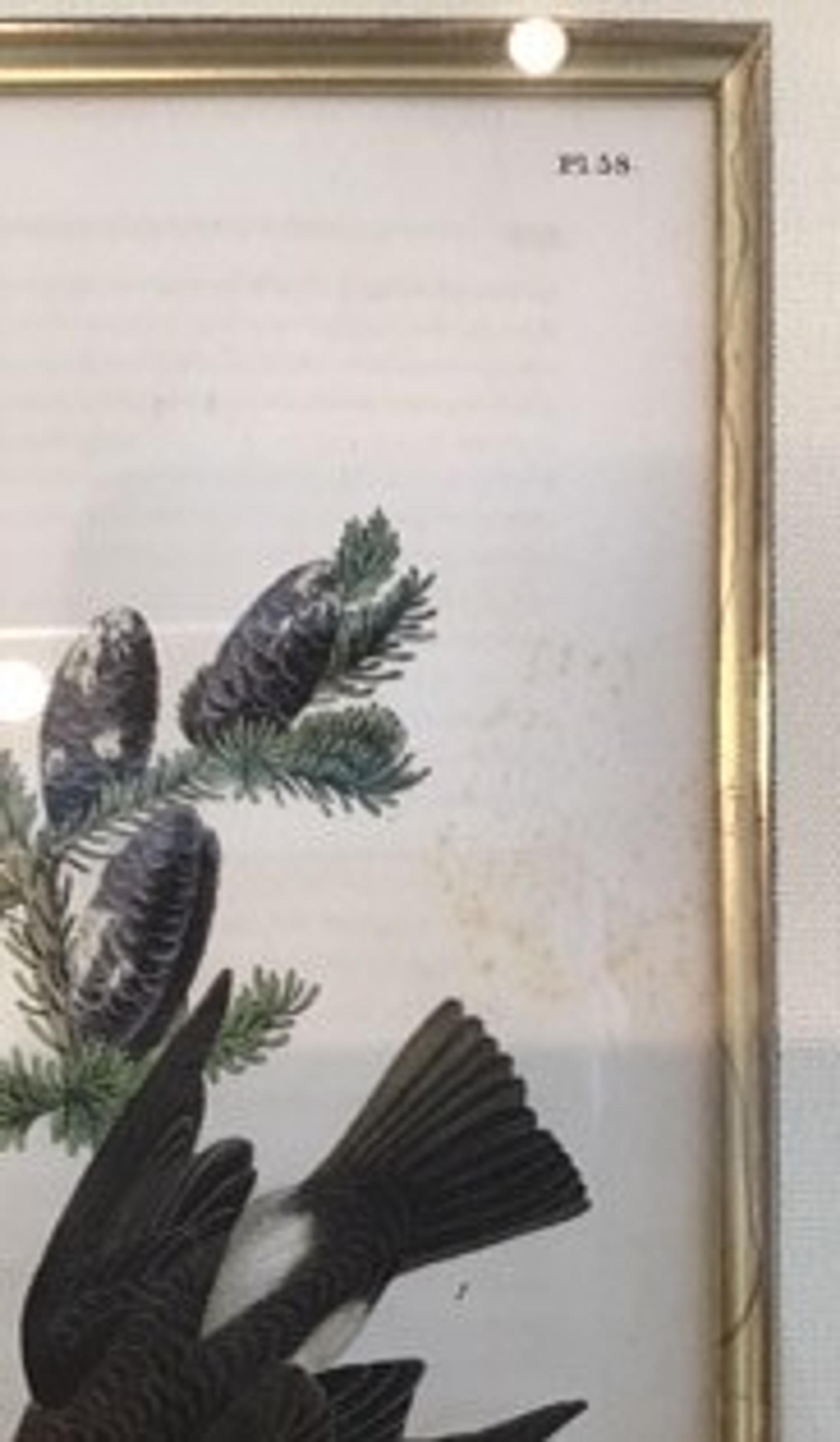 The Birds of America, Royal Octavo Edition, Bowen Edition