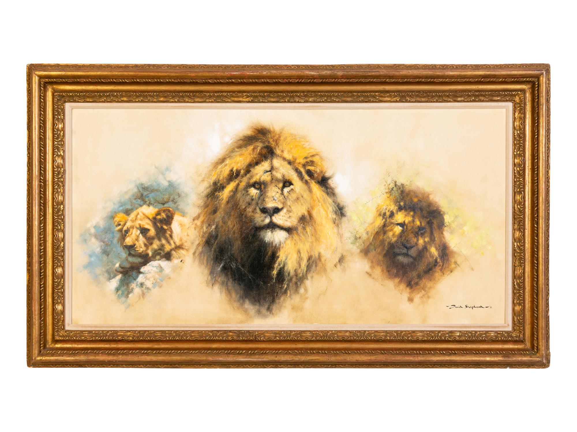 A Study of Lions