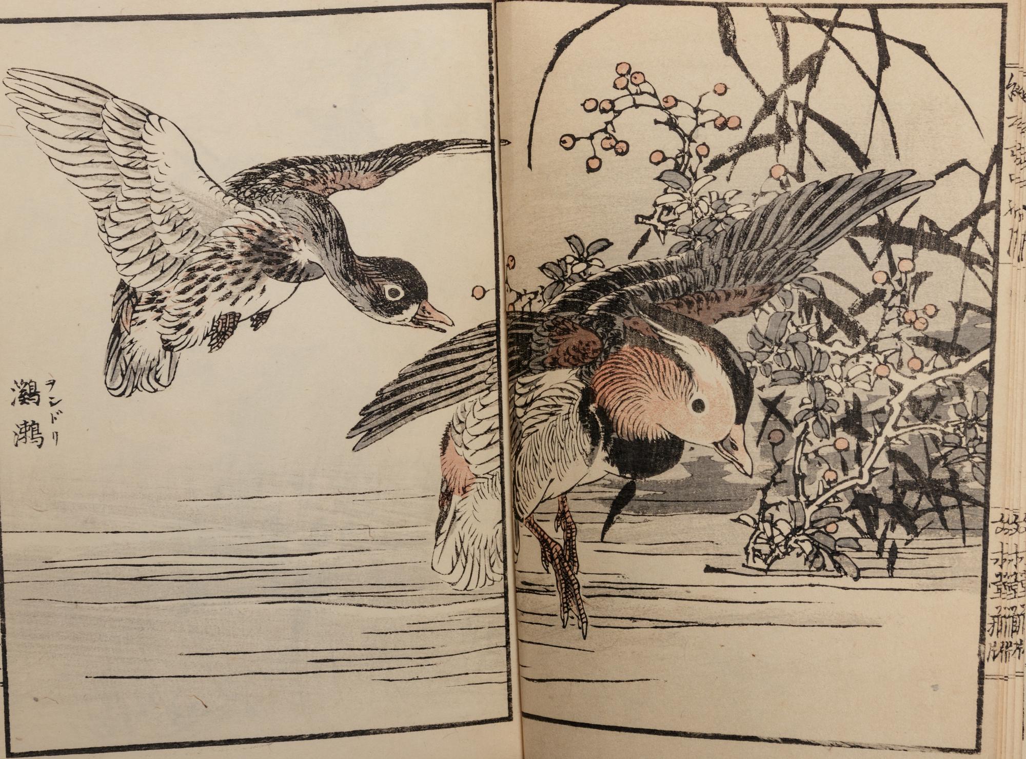 [ILLUSTRATED BOOKS] A group of woodblock printed works about Japanese Paintings, comprising: