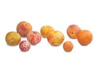 A Group of Carved and Painted Stone Fruit