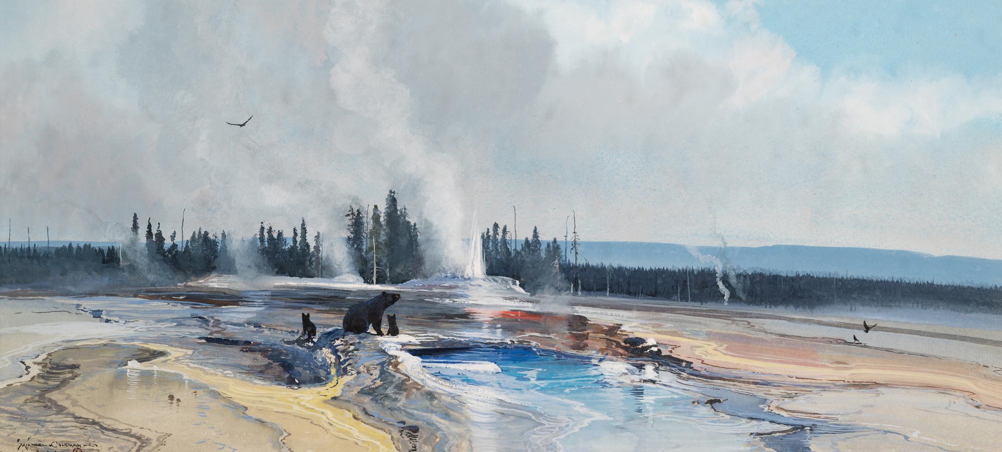 Geyser Basin