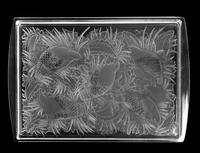 Partridge Tray