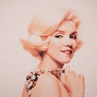 Marilyn Monroe, The Last Sitting (ten works)