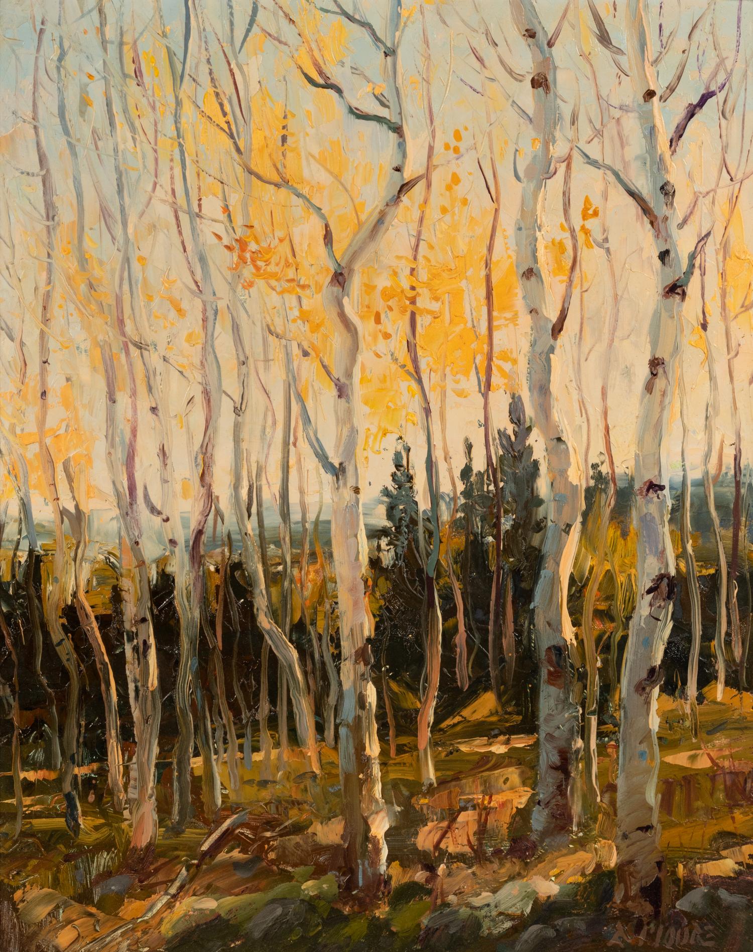 Late Fall Aspens