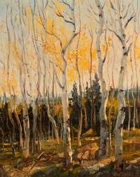 Late Fall Aspens