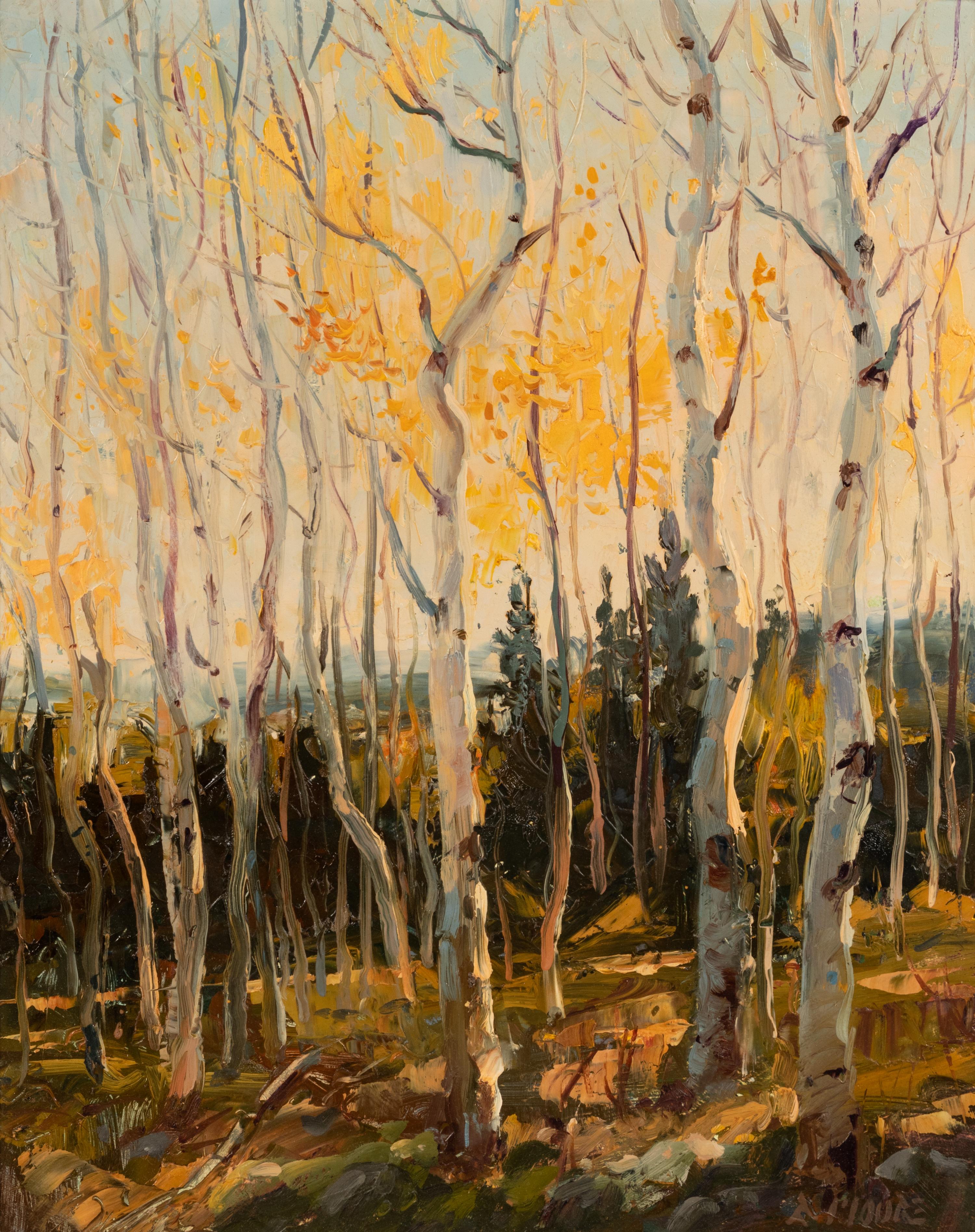 Late Fall Aspens