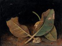 Magnolia Leaves and Shell and Tiger Moth and Nettle (two works), 1971