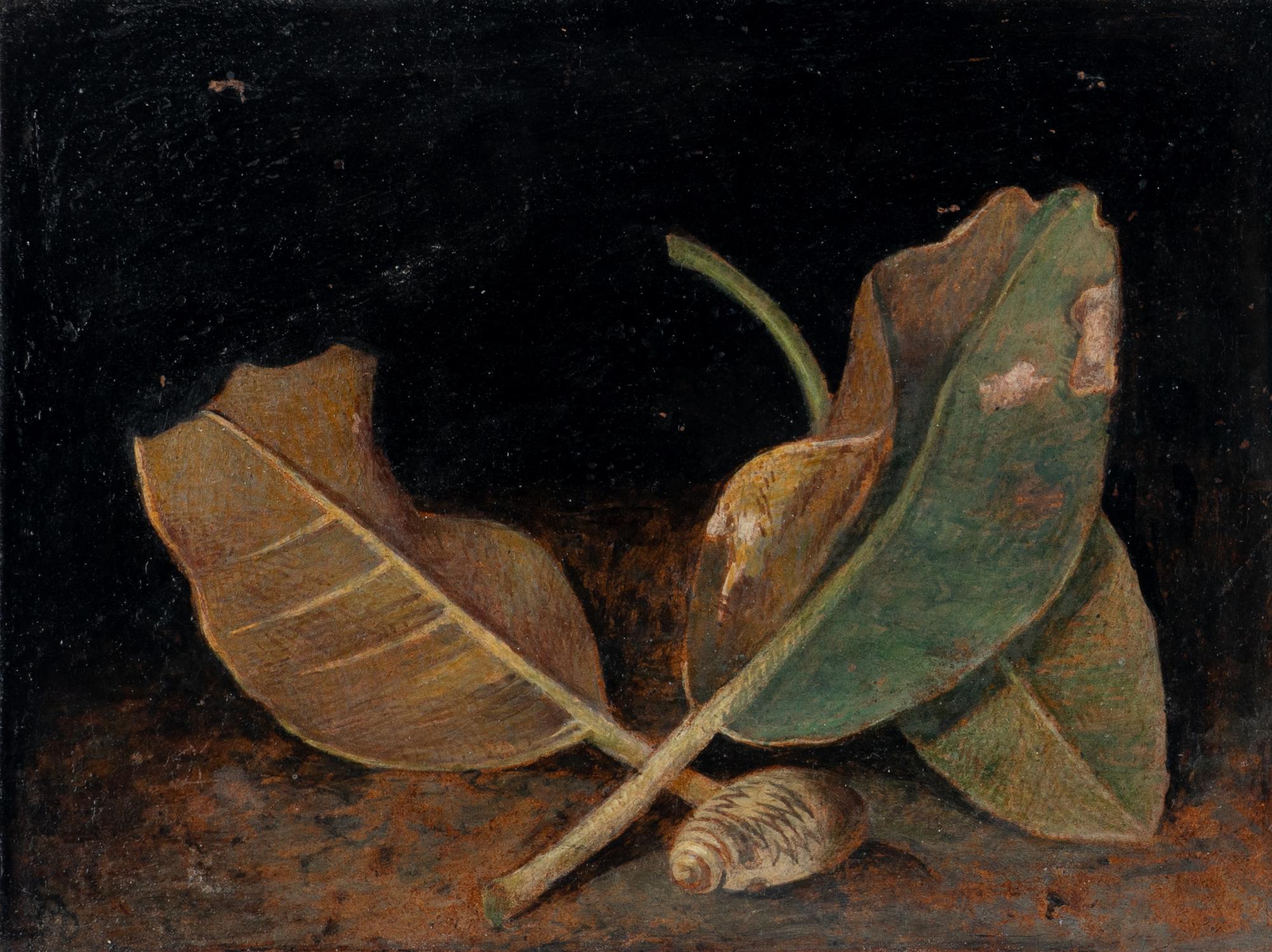 Magnolia Leaves and Shell and Tiger Moth and Nettle (two works), 1971