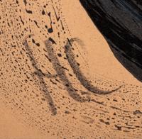 A Group of Nine Prints