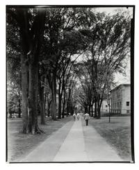 A Group of Three Works, 1954