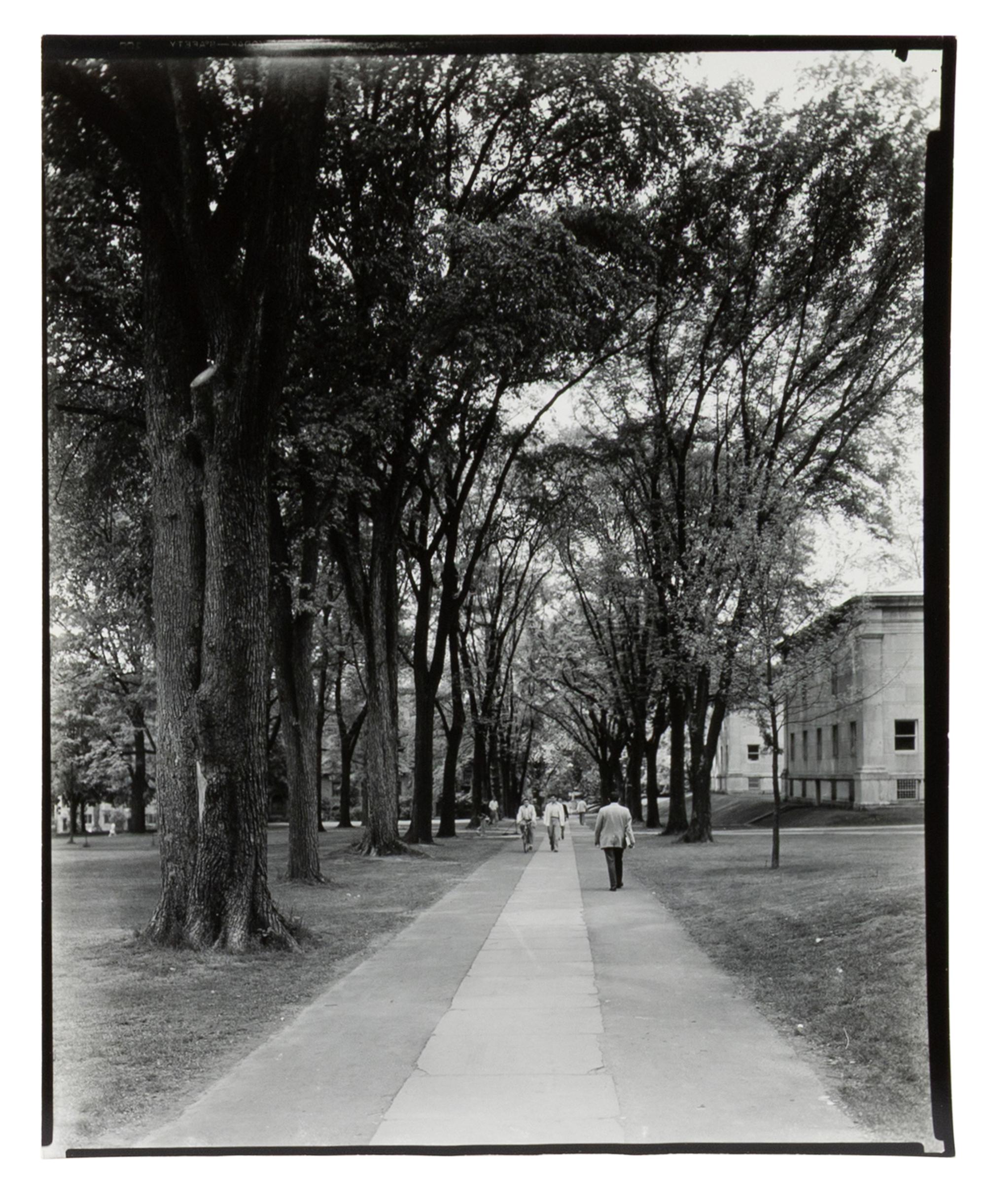 A Group of Three Works, 1954
