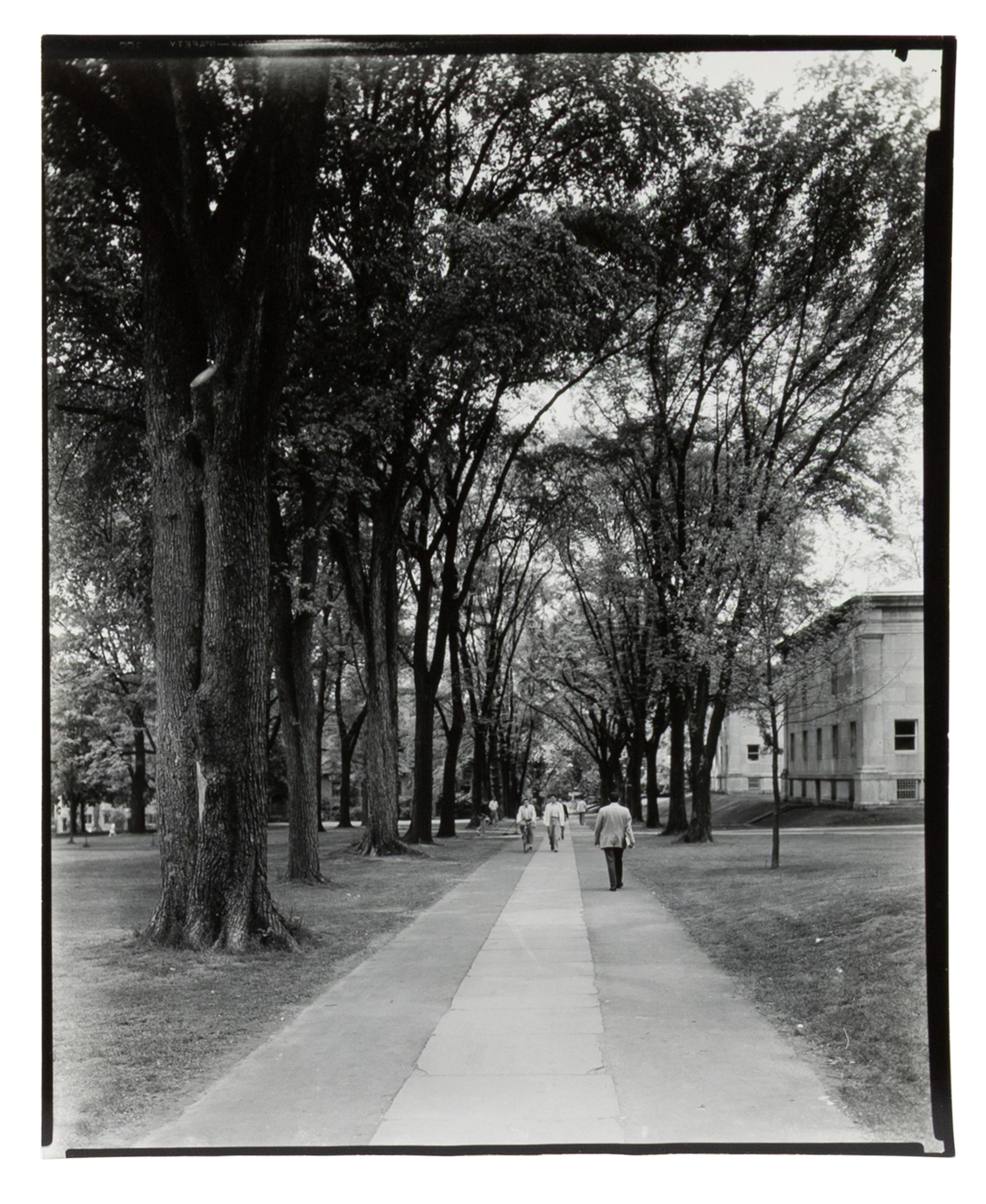 A Group of Three Works, 1954