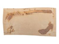 [FOUNDING FATHER]. ADAMS, Samuel (1722-1803). Clipped signature ("Samuel Adams"), n.p, n.d.
