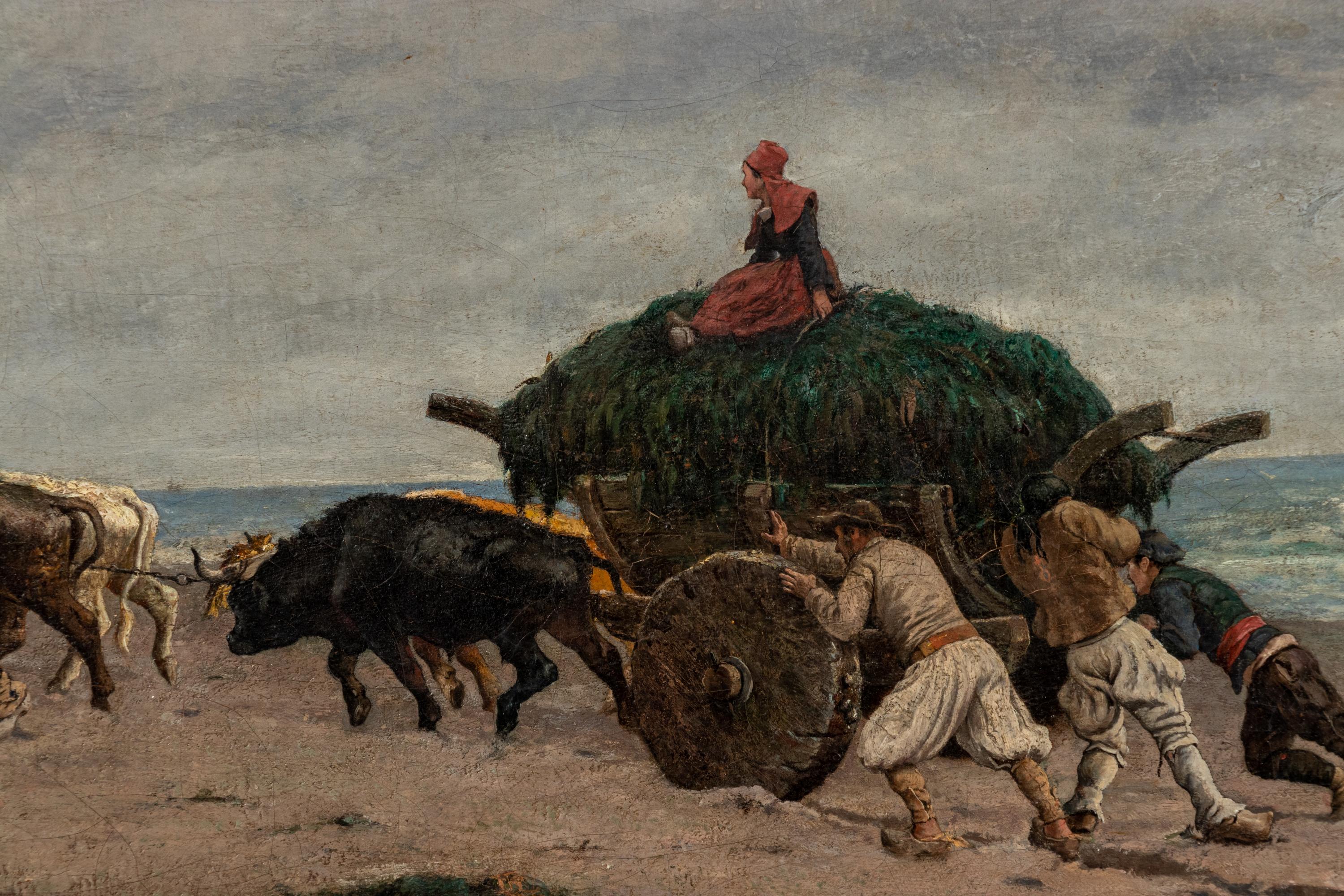 Gathering Seaweed